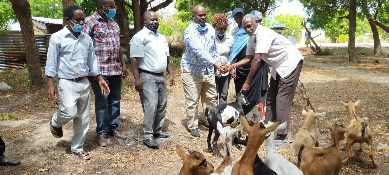 SMALLHOLDER AND PASTORAL FARMERS BENEFIT FROM IMPROVED LIVESTOCK BREEDS