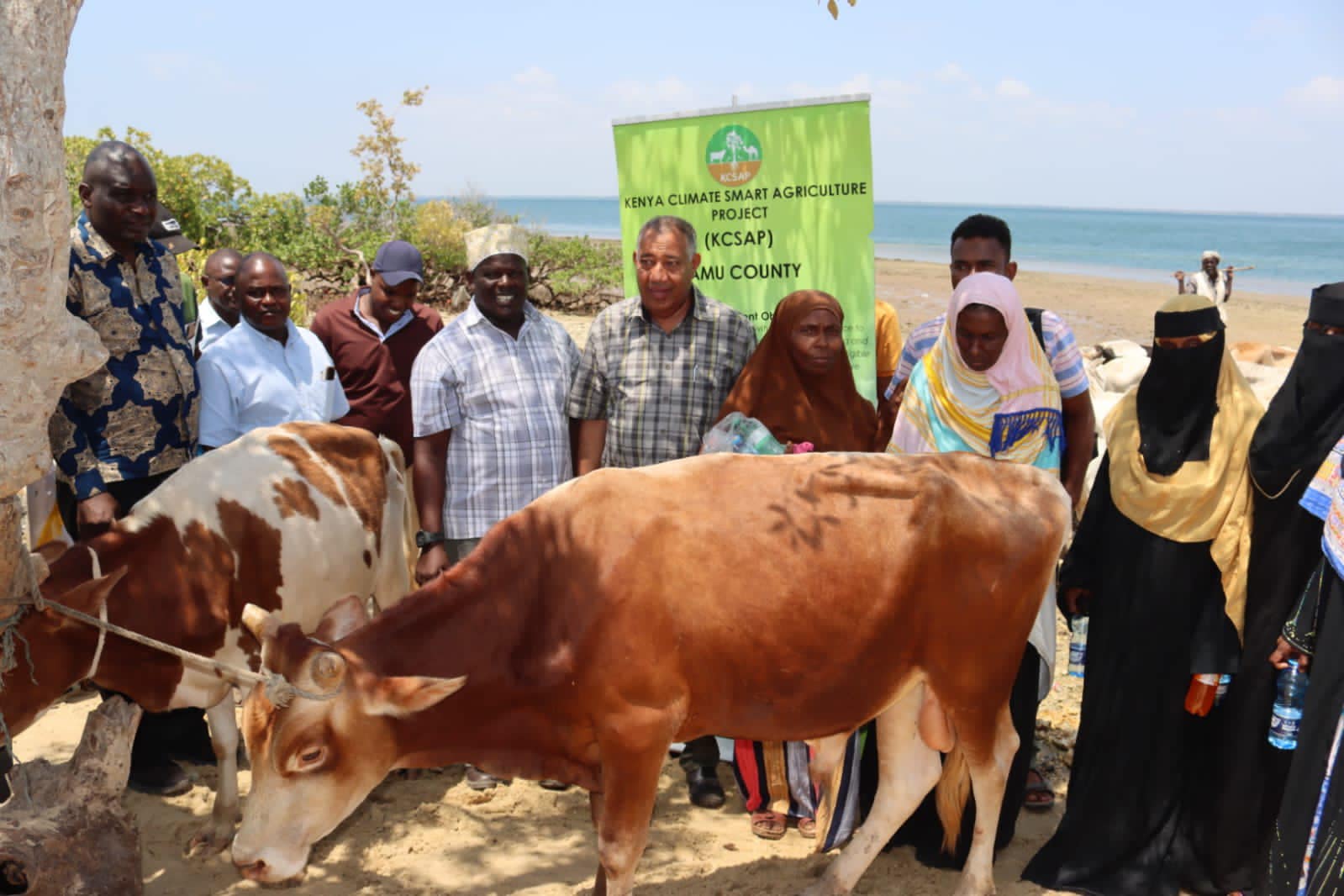 LAMU EAST FARMERS RECEIVE OVER 120 HEIFERS IN A BID TO BOOST DAIRY IN THE COUNTY